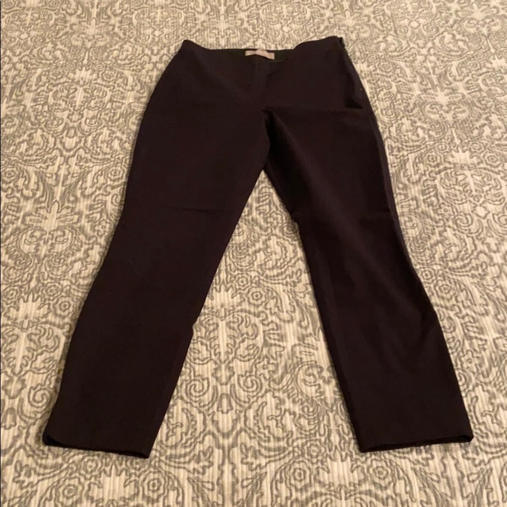 Everlane Side-Zip Work Pant
